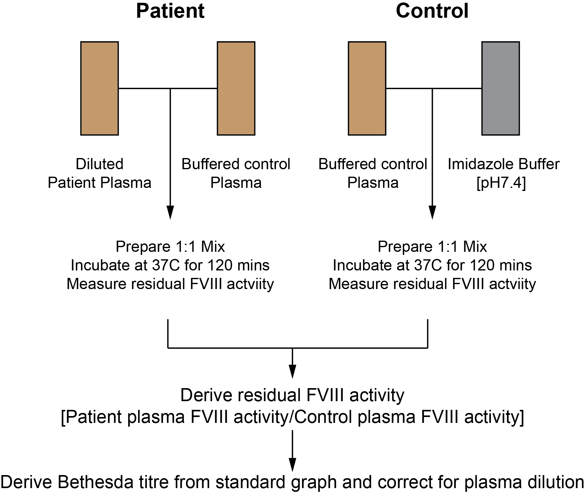 Schematic of the Bethesda Assay